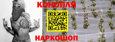 гашик Аргун