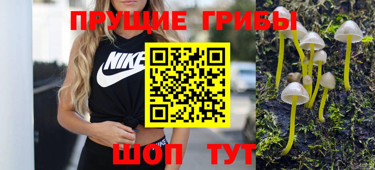 Галлюциногенные грибы мицелий  Вход с VPN  Апшеронск  Псилоцибиновые грибы Psilocybine cubensis 