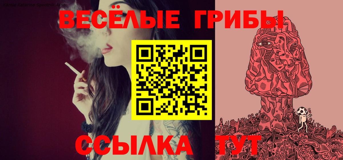 Галлюциногенные грибы Magic Shrooms Апшеронск